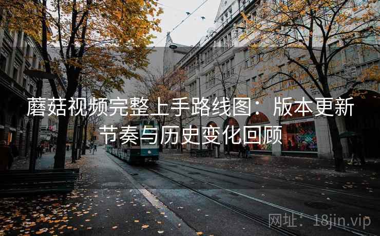 蘑菇视频完整上手路线图：版本更新节奏与历史变化回顾