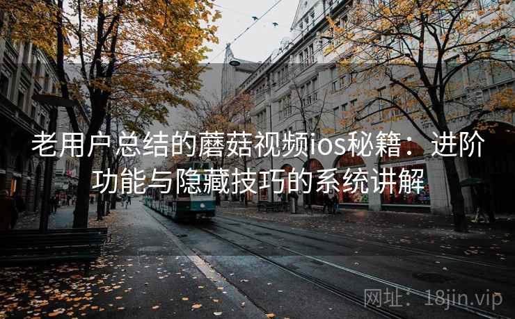 老用户总结的蘑菇视频ios秘籍：进阶功能与隐藏技巧的系统讲解