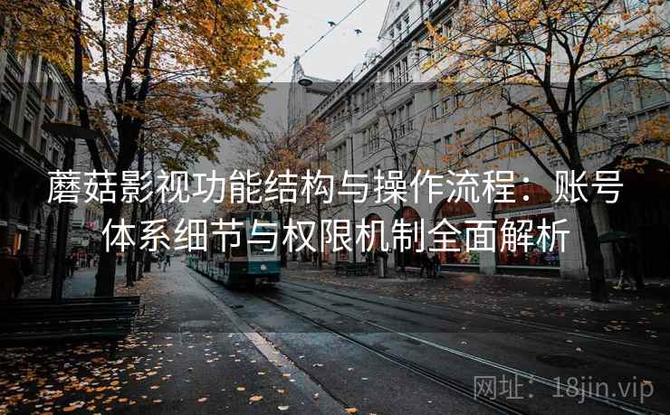 蘑菇影视功能结构与操作流程：账号体系细节与权限机制全面解析