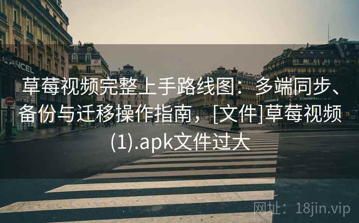 草莓视频完整上手路线图：多端同步、备份与迁移操作指南，[文件]草莓视频(1).apk文件过大