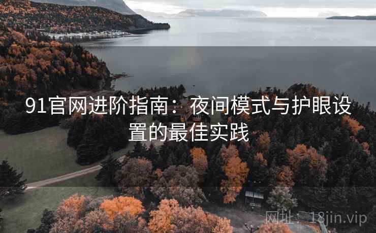 91官网进阶指南：夜间模式与护眼设置的最佳实践