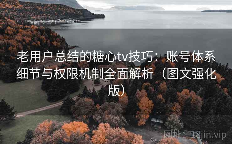 老用户总结的糖心tv技巧：账号体系细节与权限机制全面解析（图文强化版）