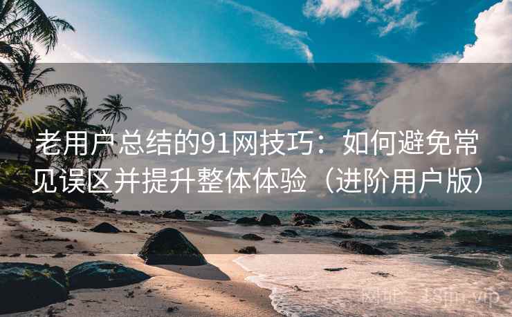 老用户总结的91网技巧：如何避免常见误区并提升整体体验（进阶用户版）