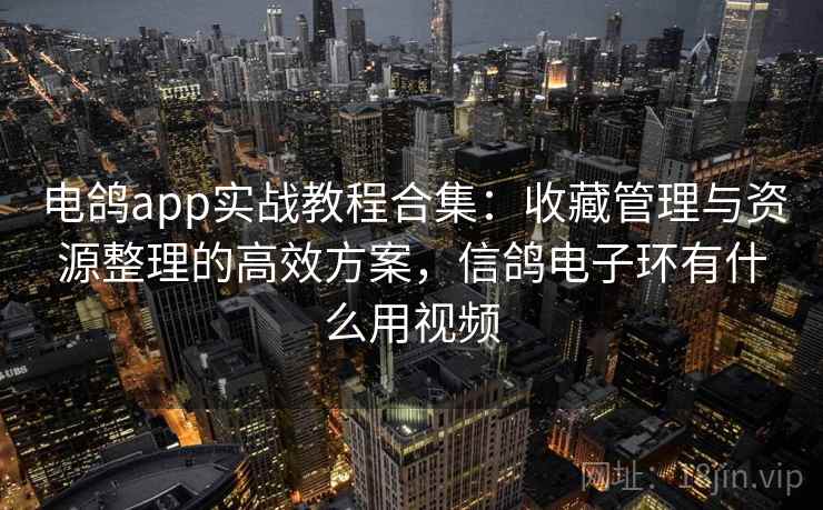 电鸽app实战教程合集：收藏管理与资源整理的高效方案，信鸽电子环有什么用视频