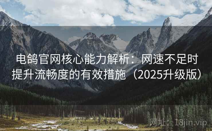 电鸽官网核心能力解析：网速不足时提升流畅度的有效措施（2025升级版）