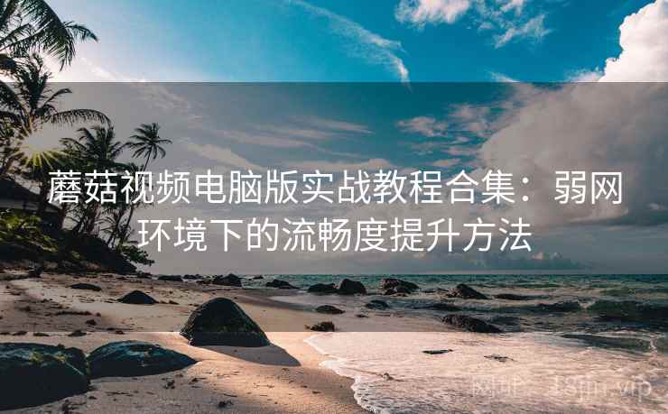 蘑菇视频电脑版实战教程合集:弱网环境下的流畅度提升方法 蘑菇视频电脑版实战教程合集:弱网环境下的流畅度提升方法