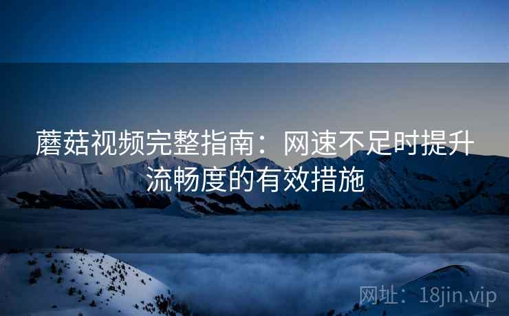 蘑菇视频完整指南：网速不足时提升流畅度的有效措施