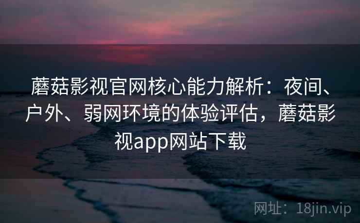 蘑菇影视官网核心能力解析：夜间、户外、弱网环境的体验评估，蘑菇影视app网站下载