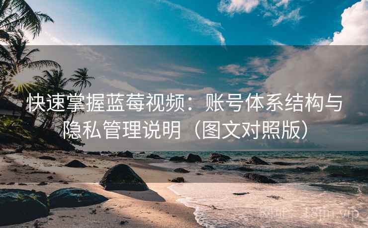 快速掌握蓝莓视频:账号体系结构与隐私管理说明(图文对照版) 快速掌握蓝莓视频:账号体系结构与隐私管理说明(图文对照版)