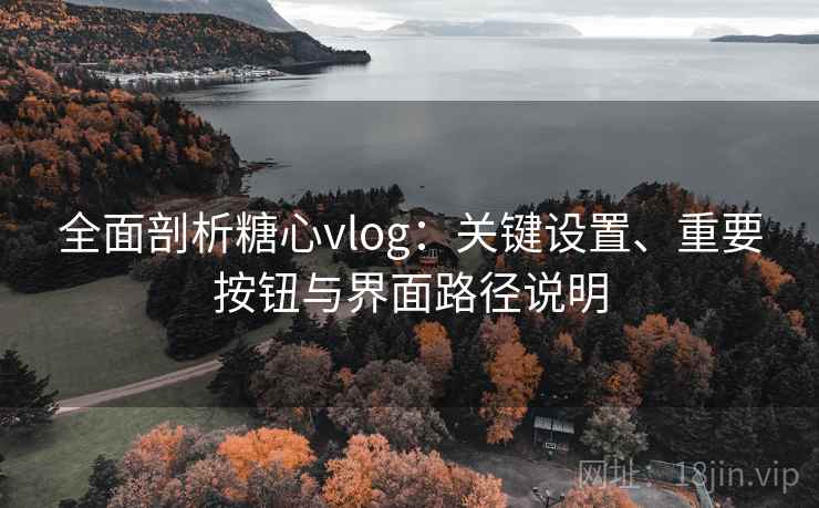 全面剖析糖心vlog:关键设置、重要按钮与界面路径说明 全面剖析糖心vlog:关键设置、重要按钮与界面路径说明
