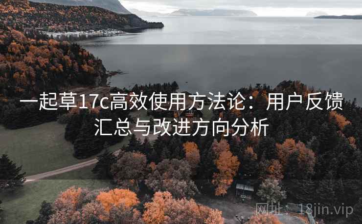 一起草17c高效使用方法论:用户反馈汇总与改进方向分析 一起草17c高效使用方法论:用户反馈汇总与改进方向分析