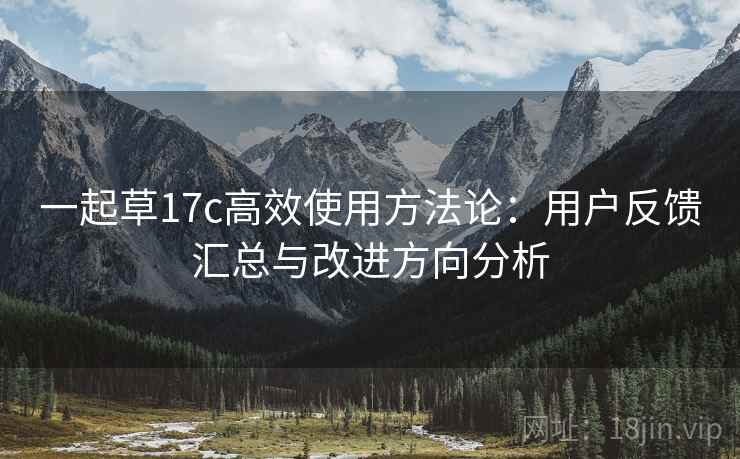 一起草17c高效使用方法论:用户反馈汇总与改进方向分析 一起草17c高效使用方法论:用户反馈汇总与改进方向分析