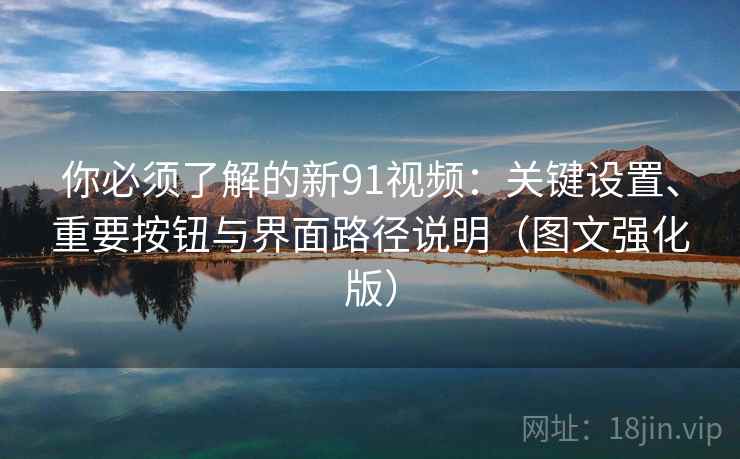你必须了解的新91视频：关键设置、重要按钮与界面路径说明（图文强化版）
