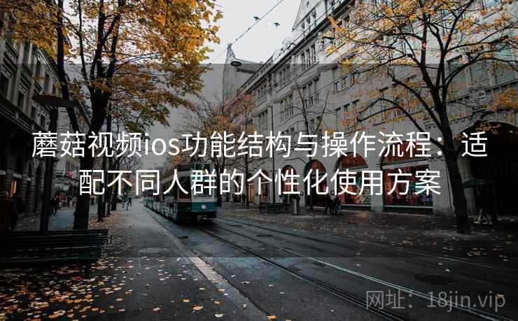 蘑菇视频ios功能结构与操作流程：适配不同人群的个性化使用方案