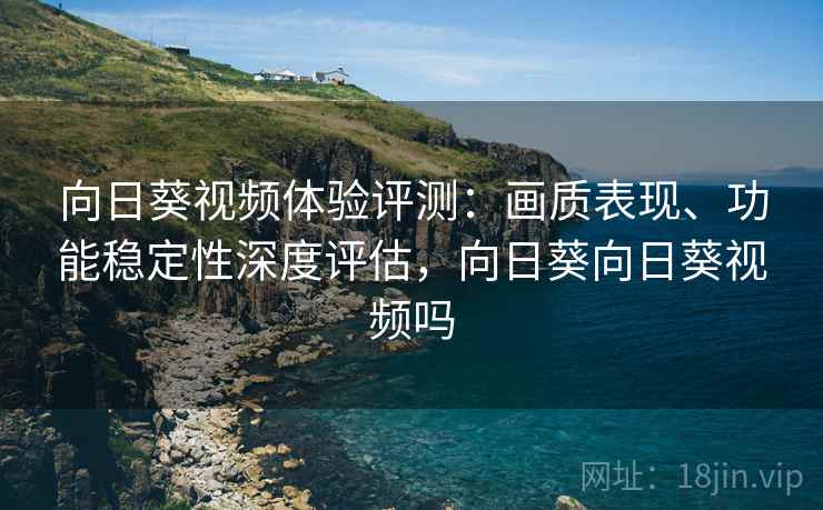 向日葵视频体验评测:画质表现、功能稳定性深度评估,向日葵向日葵视频吗 向日葵视频体验评测:画质表现、功能稳定性深度评估,向日葵向日葵视频吗