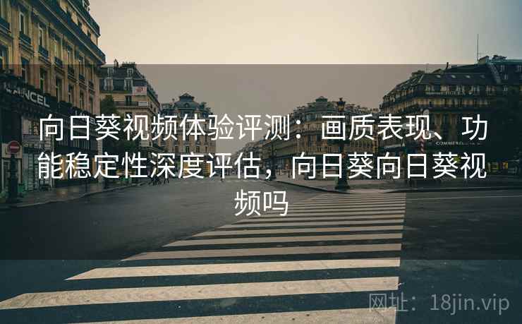 向日葵视频体验评测:画质表现、功能稳定性深度评估,向日葵向日葵视频吗 向日葵视频体验评测:画质表现、功能稳定性深度评估,向日葵向日葵视频吗