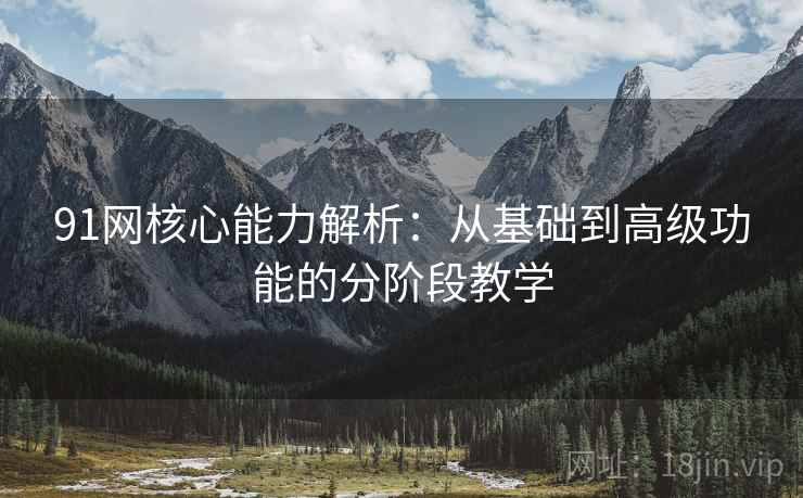 91网核心能力解析:从基础到高级功能的分阶段教学 91网核心能力解析:从基础到高级功能的分阶段教学