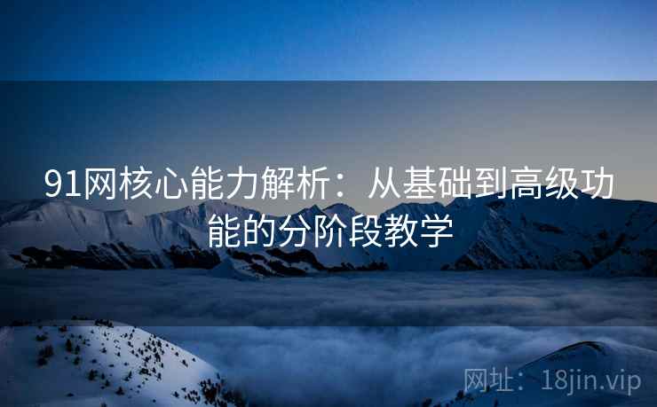 91网核心能力解析:从基础到高级功能的分阶段教学 91网核心能力解析:从基础到高级功能的分阶段教学
